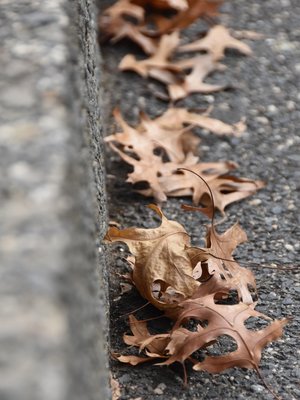 cover image of A Time to Shed